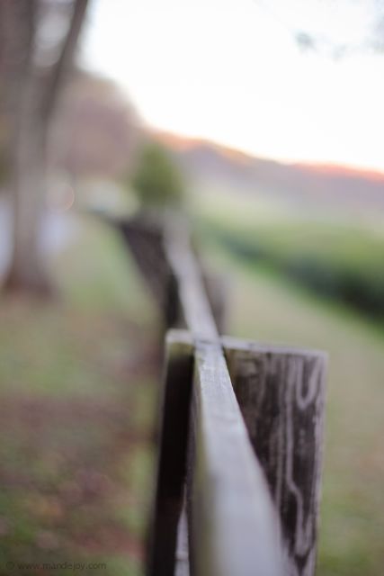Fence Post MJ